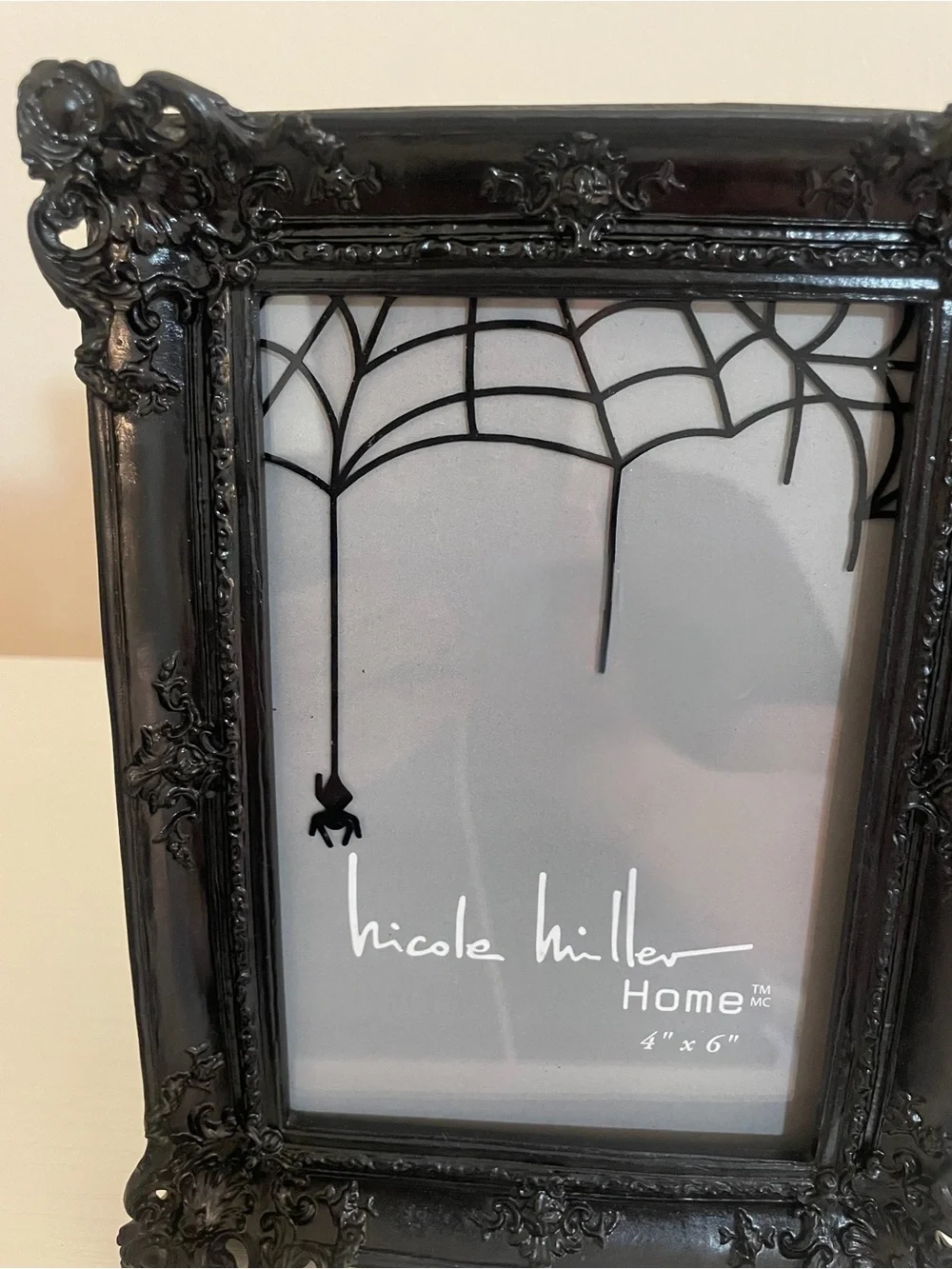 Nicole Miller Home Gothic Spider Web 4x6 Picture Frame - Halloween Spooky Decor